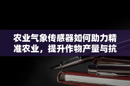 农业气象传感器如何助力精准农业，提升作物产量与抗灾能力？