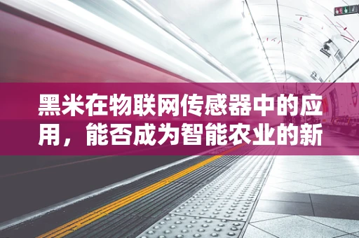 黑米在物联网传感器中的应用，能否成为智能农业的新宠？