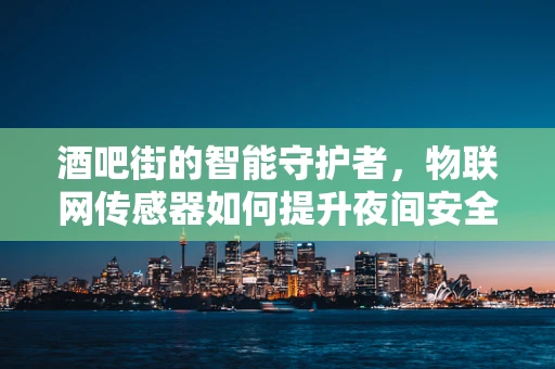 酒吧街的智能守护者，物联网传感器如何提升夜间安全？