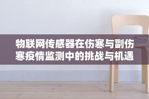 物联网传感器在伤寒与副伤寒疫情监测中的挑战与机遇