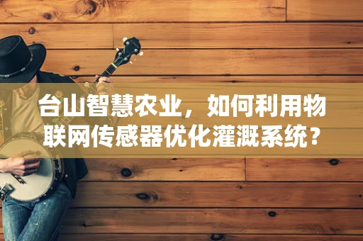 台山智慧农业，如何利用物联网传感器优化灌溉系统？