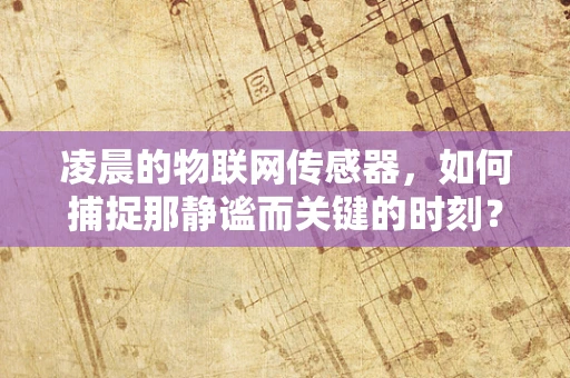 凌晨的物联网传感器，如何捕捉那静谧而关键的时刻？