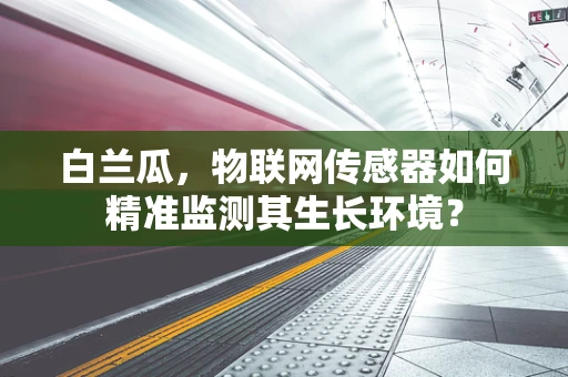 白兰瓜，物联网传感器如何精准监测其生长环境？