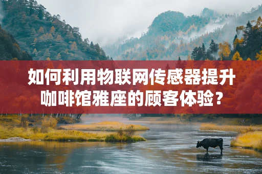 如何利用物联网传感器提升咖啡馆雅座的顾客体验？