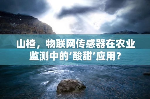 山楂，物联网传感器在农业监测中的‘酸甜’应用？