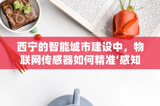 西宁的智能城市建设中，物联网传感器如何精准‘感知’城市脉动？