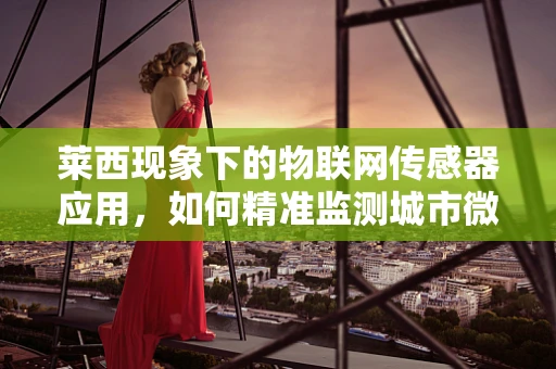莱西现象下的物联网传感器应用，如何精准监测城市微气候？