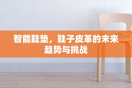 智能鞋垫，鞋子皮革的未来趋势与挑战