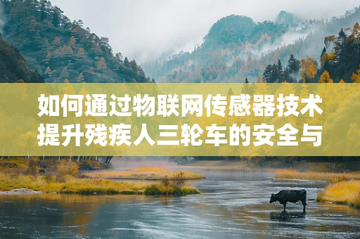 如何通过物联网传感器技术提升残疾人三轮车的安全与便利性？