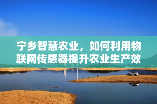 宁乡智慧农业，如何利用物联网传感器提升农业生产效率？