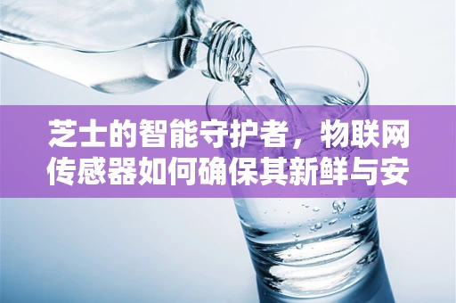 芝士的智能守护者，物联网传感器如何确保其新鲜与安全？