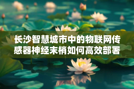 长沙智慧城市中的物联网传感器神经末梢如何高效部署？