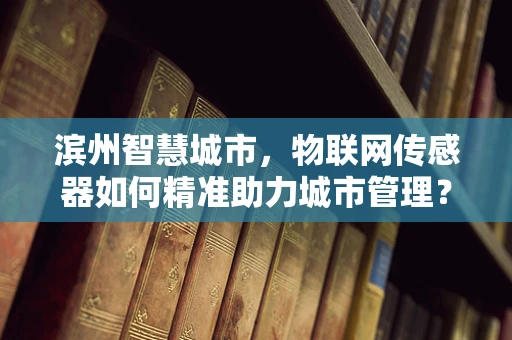 滨州智慧城市，物联网传感器如何精准助力城市管理？