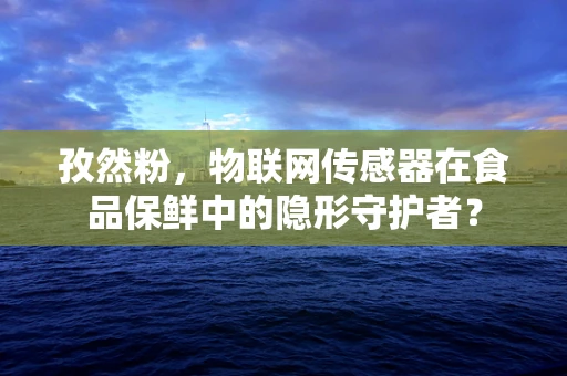 孜然粉，物联网传感器在食品保鲜中的隐形守护者？