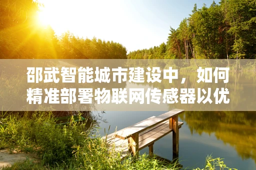 邵武智能城市建设中，如何精准部署物联网传感器以优化城市管理？