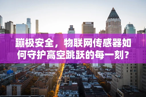 蹦极安全，物联网传感器如何守护高空跳跃的每一刻？