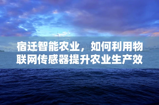 宿迁智能农业，如何利用物联网传感器提升农业生产效率？