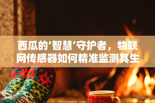 西瓜的‘智慧’守护者，物联网传感器如何精准监测其生长环境？
