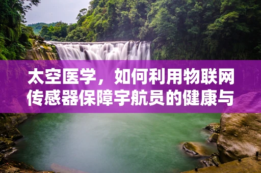 太空医学，如何利用物联网传感器保障宇航员的健康与安全？