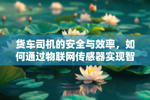 货车司机的安全与效率，如何通过物联网传感器实现智能监控？