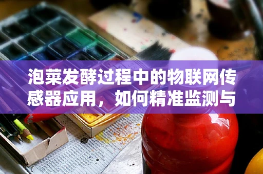 泡菜发酵过程中的物联网传感器应用，如何精准监测与控制？