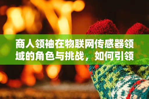商人领袖在物联网传感器领域的角色与挑战，如何引领技术创新与市场融合？