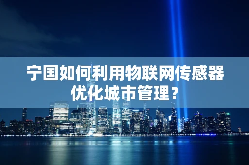 宁国如何利用物联网传感器优化城市管理？