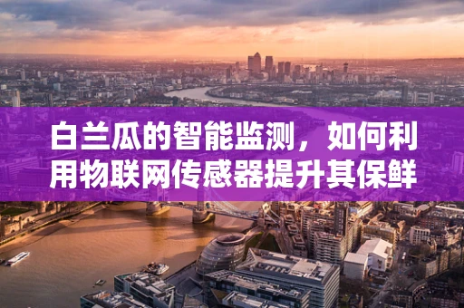 白兰瓜的智能监测，如何利用物联网传感器提升其保鲜与品质？