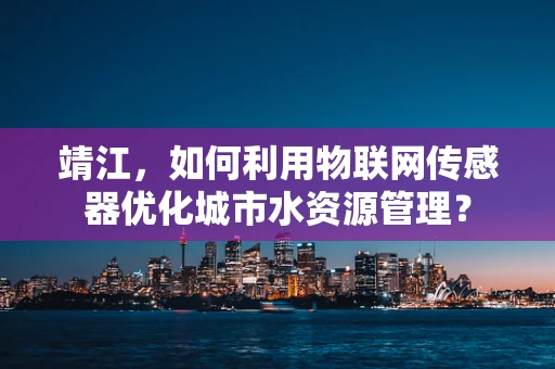 靖江，如何利用物联网传感器优化城市水资源管理？