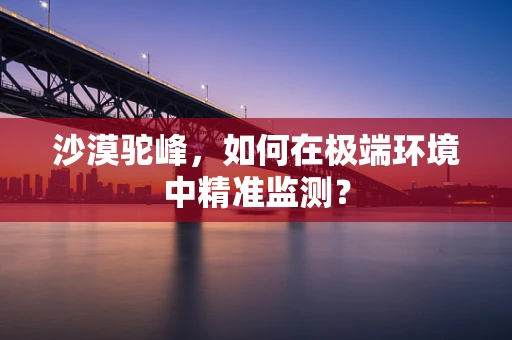 沙漠驼峰，如何在极端环境中精准监测？