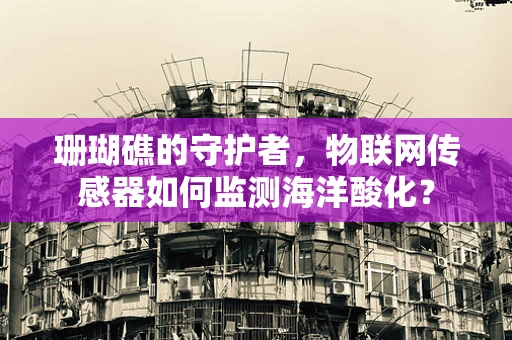 珊瑚礁的守护者，物联网传感器如何监测海洋酸化？