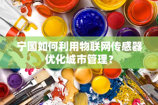宁国如何利用物联网传感器优化城市管理？