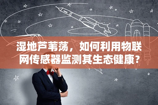 湿地芦苇荡，如何利用物联网传感器监测其生态健康？