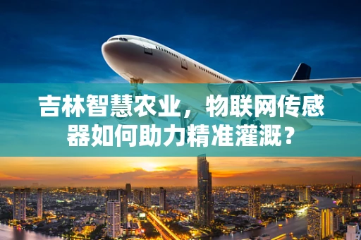 吉林智慧农业，物联网传感器如何助力精准灌溉？