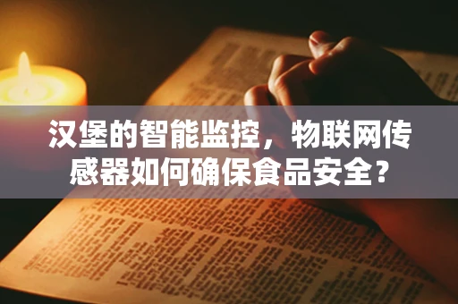 汉堡的智能监控，物联网传感器如何确保食品安全？