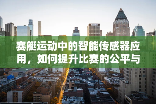 赛艇运动中的智能传感器应用，如何提升比赛的公平与安全？
