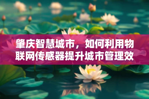 肇庆智慧城市，如何利用物联网传感器提升城市管理效率？