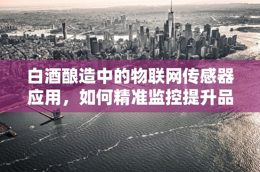白酒酿造中的物联网传感器应用，如何精准监控提升品质？