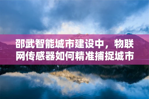 邵武智能城市建设中，物联网传感器如何精准捕捉城市脉动？