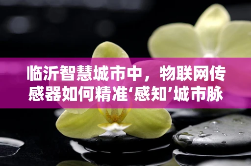 临沂智慧城市中，物联网传感器如何精准‘感知’城市脉动？