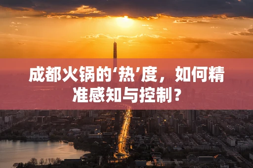 成都火锅的‘热’度，如何精准感知与控制？