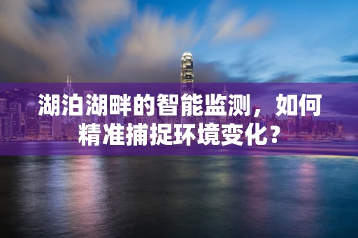 湖泊湖畔的智能监测，如何精准捕捉环境变化？
