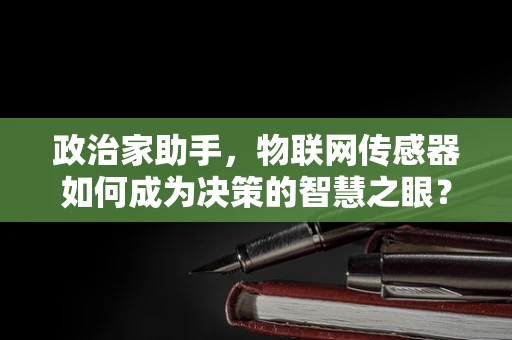 政治家助手，物联网传感器如何成为决策的智慧之眼？