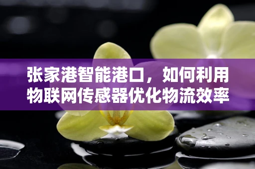 张家港智能港口，如何利用物联网传感器优化物流效率？