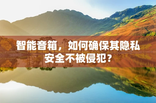智能音箱，如何确保其隐私安全不被侵犯？