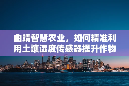 曲靖智慧农业，如何精准利用土壤湿度传感器提升作物产量？