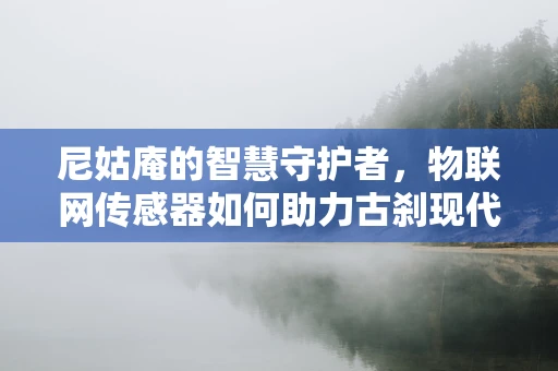 尼姑庵的智慧守护者，物联网传感器如何助力古刹现代化管理？