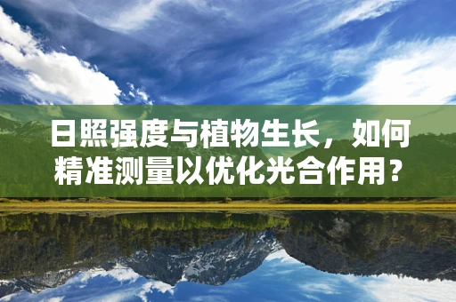 日照强度与植物生长，如何精准测量以优化光合作用？