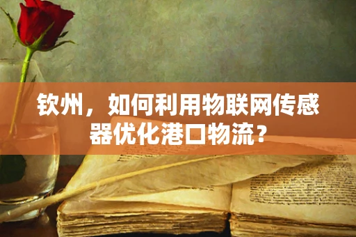 钦州，如何利用物联网传感器优化港口物流？