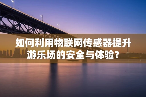 如何利用物联网传感器提升游乐场的安全与体验？